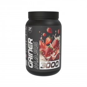 Gainer Mass 3000 Zimfit FRAISE