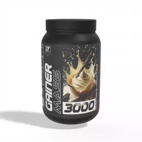 Gainer Mass 3000g Zimfit Vanille