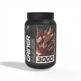 Gainer Mass 3000g Zimfit Chocolat