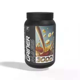 Gainer Mass 3000g Zimfit Banane